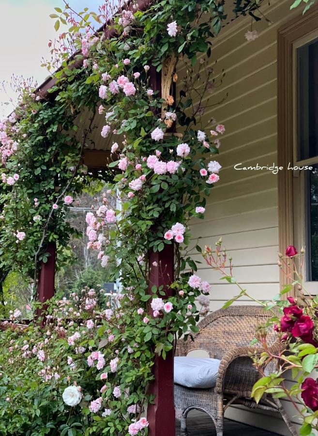 Cambridge House Breakfast & Bed Bed & Breakfast Geeveston Exterior photo