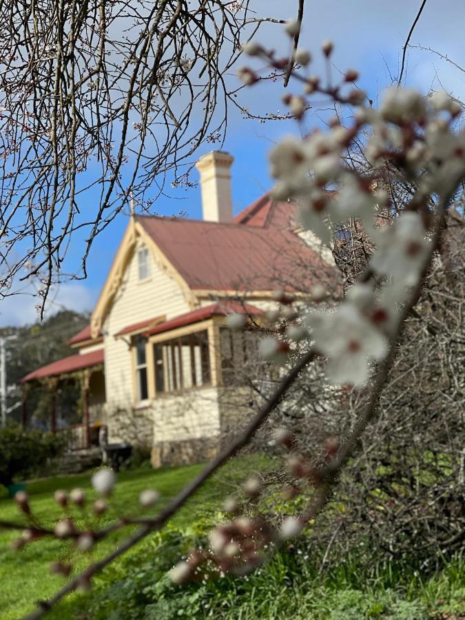 Cambridge House Breakfast & Bed Bed & Breakfast Geeveston Exterior photo